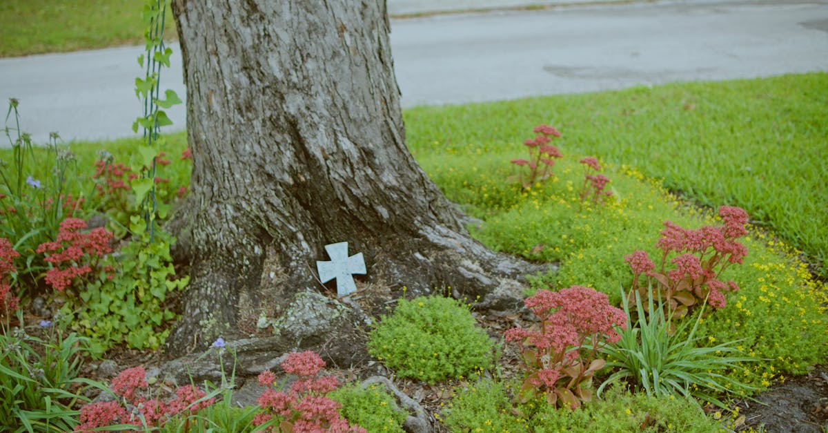 Creating Symmetrical Patterns in Garden Design