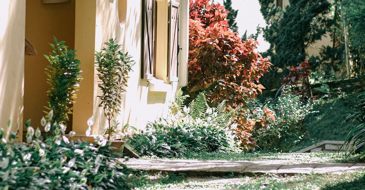 Proportion and Scale: Creating Visual Impact in Garden Planning